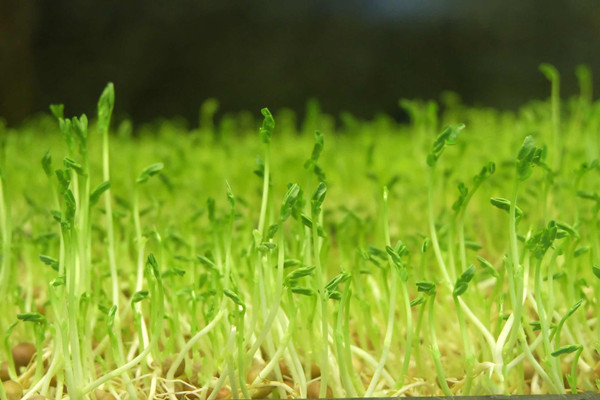 <a href='http://www.91818com.com' target='_blank'><u>健康管理師考試</u></a>時間